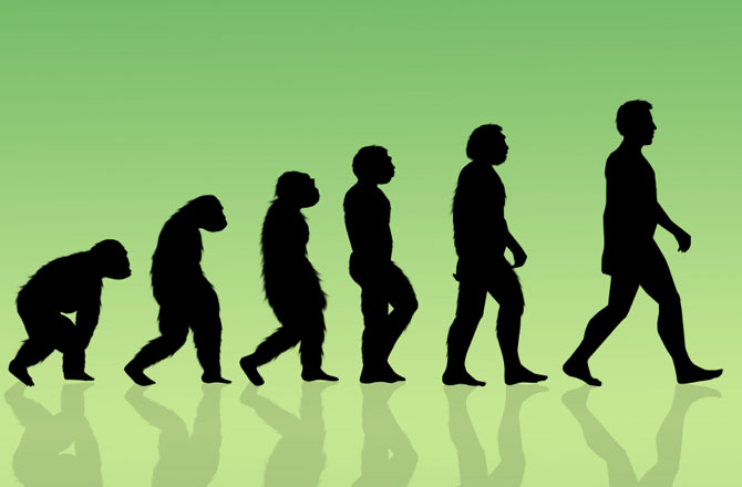 Evolusi dan Asal Usul Kehidupan